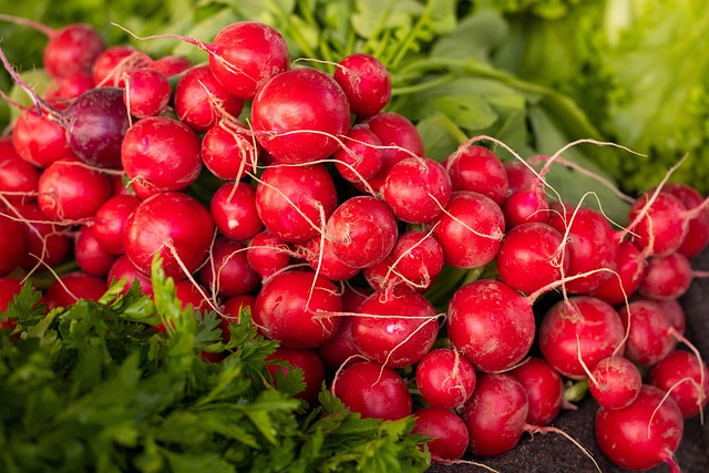 Radishes